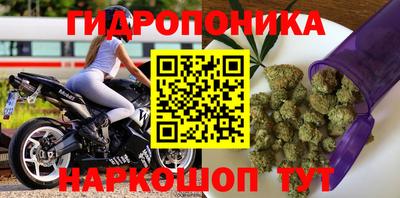 ГАЛЛЮЦИНОГЕННЫЕ ГРИБЫ Кунгур