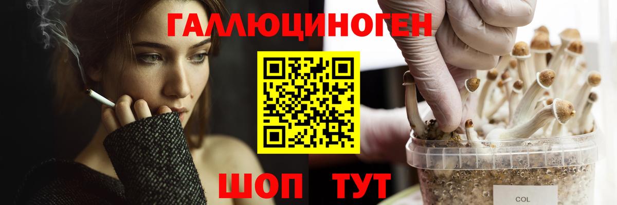 Ярославль  Галлюциногенные грибы мицелий  купить   Вход с VPN  Галлюциногенные грибы GOLDEN TEACHER 